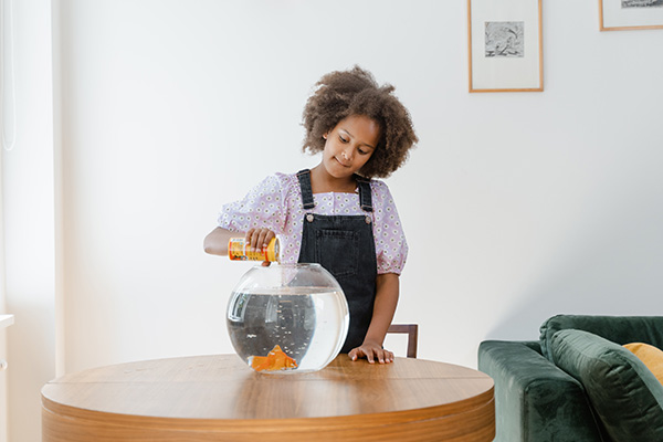 girl feeding fish in fishbowl