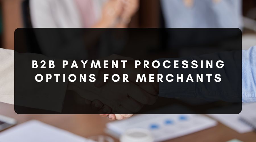 B2B Payment Processing & Existing Options for Merchants